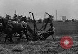 Standbild Pferdekutschen Reaper United States USA, 1919, aus Sekunde 21 historischem Filmmaterial Videoclip 65675048699