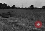 Standbild Pferdekutschen Reaper United States USA, 1919, aus Sekunde 30 historischem Filmmaterial Videoclip 65675048699