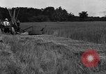 Standbild Pferdekutschen Reaper United States USA, 1919, aus Sekunde 34 historischem Filmmaterial Videoclip 65675048699
