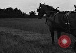 Standbild Pferdekutschen Reaper United States USA, 1919, aus Sekunde 38 historischem Filmmaterial Videoclip 65675048699