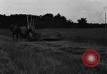 Standbild Pferdekutschen Reaper United States USA, 1919, aus Sekunde 47 historischem Filmmaterial Videoclip 65675048699
