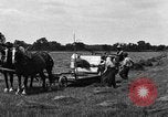 Immagine di Cavallo e legante United States USA, 1919, secondo 1 filmato di repertorio 65675048700