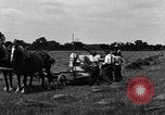 Immagine di Cavallo e legante United States USA, 1919, secondo 3 filmato di repertorio 65675048700
