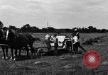 Immagine di Cavallo e legante United States USA, 1919, secondo 4 filmato di repertorio 65675048700