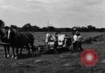 Immagine di Cavallo e legante United States USA, 1919, secondo 5 filmato di repertorio 65675048700