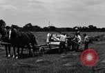 Immagine di Cavallo e legante United States USA, 1919, secondo 6 filmato di repertorio 65675048700