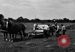 Immagine di Cavallo e legante United States USA, 1919, secondo 7 filmato di repertorio 65675048700