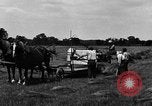 Immagine di Cavallo e legante United States USA, 1919, secondo 8 filmato di repertorio 65675048700