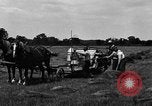 Immagine di Cavallo e legante United States USA, 1919, secondo 9 filmato di repertorio 65675048700
