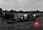 Immagine di Cavallo e legante United States USA, 1919, secondo 10 filmato di repertorio 65675048700