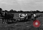 Immagine di Cavallo e legante United States USA, 1919, secondo 11 filmato di repertorio 65675048700