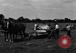 Immagine di Cavallo e legante United States USA, 1919, secondo 12 filmato di repertorio 65675048700