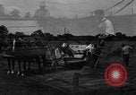 Immagine di Cavallo e legante United States USA, 1919, secondo 13 filmato di repertorio 65675048700