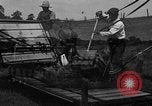 Immagine di Cavallo e legante United States USA, 1919, secondo 14 filmato di repertorio 65675048700