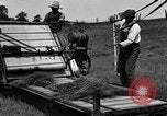Immagine di Cavallo e legante United States USA, 1919, secondo 25 filmato di repertorio 65675048700