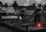 Immagine di Cavallo e legante United States USA, 1919, secondo 27 filmato di repertorio 65675048700