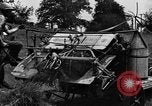 Immagine di Cavallo e legante United States USA, 1919, secondo 32 filmato di repertorio 65675048700