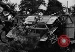 Immagine di Cavallo e legante United States USA, 1919, secondo 35 filmato di repertorio 65675048700
