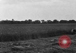 Immagine di Il trattore tracciata reaper United States USA, 1919, secondo 1 filmato di repertorio 65675048701