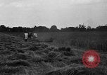 Immagine di Il trattore tracciata reaper United States USA, 1919, secondo 21 filmato di repertorio 65675048701