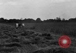 Immagine di Il trattore tracciata reaper United States USA, 1919, secondo 22 filmato di repertorio 65675048701
