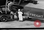 Immagine di La Polonia Cina pig Kansas City Missouri USA, 1931, secondo 27 filmato di repertorio 65675048703
