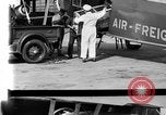 Immagine di La Polonia Cina pig Kansas City Missouri USA, 1931, secondo 28 filmato di repertorio 65675048703