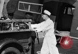 Immagine di La Polonia Cina pig Kansas City Missouri USA, 1931, secondo 32 filmato di repertorio 65675048703
