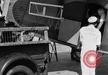 Immagine di La Polonia Cina pig Kansas City Missouri USA, 1931, secondo 34 filmato di repertorio 65675048703