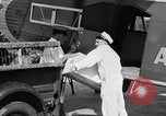 Immagine di La Polonia Cina pig Kansas City Missouri USA, 1931, secondo 36 filmato di repertorio 65675048703