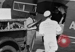 Immagine di La Polonia Cina pig Kansas City Missouri USA, 1931, secondo 40 filmato di repertorio 65675048703