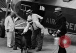 Immagine di La Polonia Cina pig Kansas City Missouri USA, 1931, secondo 62 filmato di repertorio 65675048703