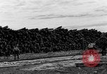Image la fabrication du papier Purdys New York USA, 1931, de la seconde 12 séquences d'archives historiques vidéo 65675048704