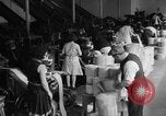 Image la fabrication du papier Purdys New York USA, 1931, de la seconde 40 séquences d'archives historiques vidéo 65675048704