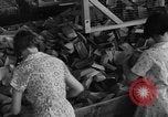 Image la fabrication du papier Purdys New York USA, 1931, de la seconde 53 séquences d'archives historiques vidéo 65675048704