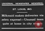 Image of Zebra driven carriage Saint Louis Missouri USA, 1931, second 1 stock footage video 65675048705