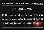 Image of Zebra driven carriage Saint Louis Missouri USA, 1931, second 4 stock footage video 65675048705