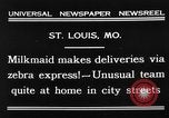 Image of Zebra driven carriage Saint Louis Missouri USA, 1931, second 5 stock footage video 65675048705