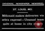 Image of Zebra driven carriage Saint Louis Missouri USA, 1931, second 9 stock footage video 65675048705