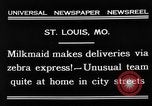 Image of Zebra driven carriage Saint Louis Missouri USA, 1931, second 11 stock footage video 65675048705