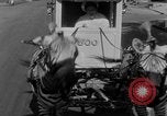 Image of Zebra driven carriage Saint Louis Missouri USA, 1931, second 12 stock footage video 65675048705
