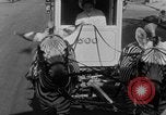 Image of Zebra driven carriage Saint Louis Missouri USA, 1931, second 13 stock footage video 65675048705