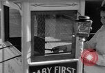Image of Zebra driven carriage Saint Louis Missouri USA, 1931, second 18 stock footage video 65675048705
