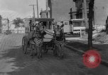 Image of Zebra driven carriage Saint Louis Missouri USA, 1931, second 26 stock footage video 65675048705