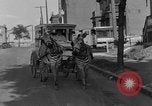 Image of Zebra driven carriage Saint Louis Missouri USA, 1931, second 27 stock footage video 65675048705