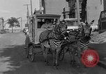 Image of Zebra driven carriage Saint Louis Missouri USA, 1931, second 31 stock footage video 65675048705