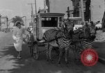 Image of Zebra driven carriage Saint Louis Missouri USA, 1931, second 39 stock footage video 65675048705