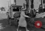 Image of Zebra driven carriage Saint Louis Missouri USA, 1931, second 42 stock footage video 65675048705