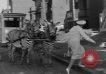 Image of Zebra driven carriage Saint Louis Missouri USA, 1931, second 43 stock footage video 65675048705