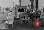 Image of Zebra driven carriage Saint Louis Missouri USA, 1931, second 54 stock footage video 65675048705